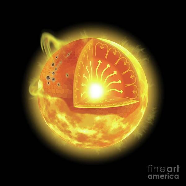 Sun Art Print featuring the photograph Internal And Surface Structure Of The Sun by Tim Brown/science Photo Library
