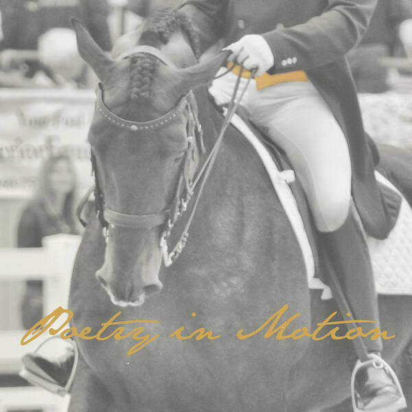 Acceptance Art Print featuring the photograph KEEP THE CONTACT quote by Dressage Design