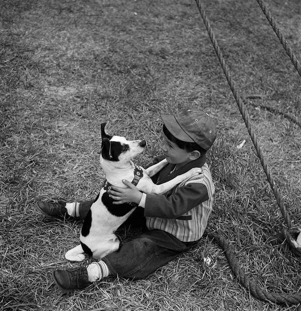 Vertical Art Print featuring the photograph Life Visits the Circus in Florida- Child playing with a dog by Nina Leen