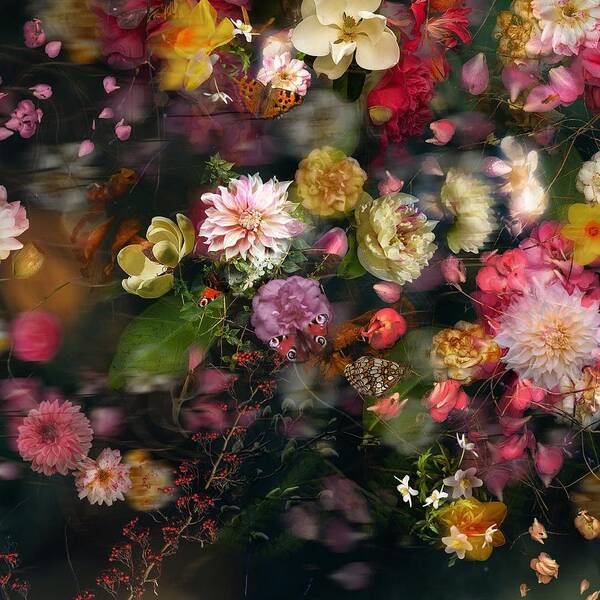 Floral Art Print featuring the photograph Listen To The Wind by Ludmila Shumilova