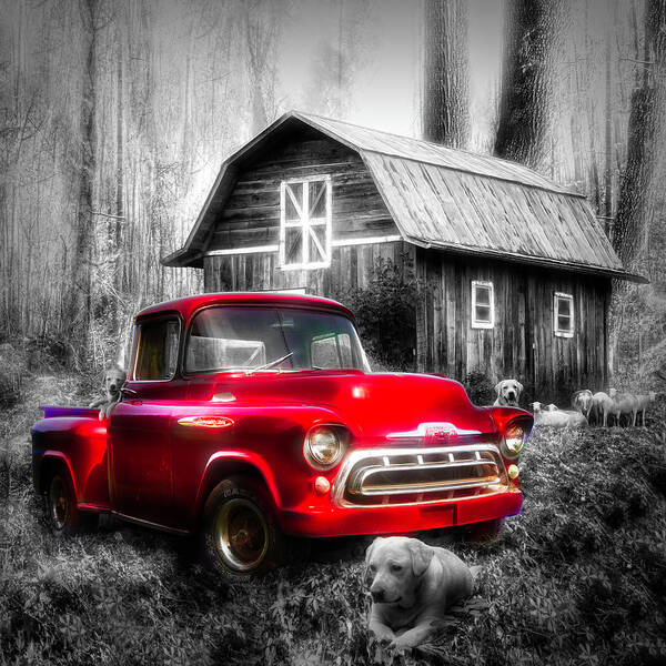 1957 Art Print featuring the photograph Love that Red Truck at Springtime Black and White in Square by Debra and Dave Vanderlaan