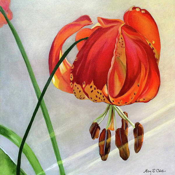 Painting Art Print featuring the painting Moment in the Sun - Lily by Mary Chant