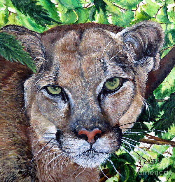 Mountain Lion Art Print featuring the painting Mountain Lion Portrait by Marilyn McNish