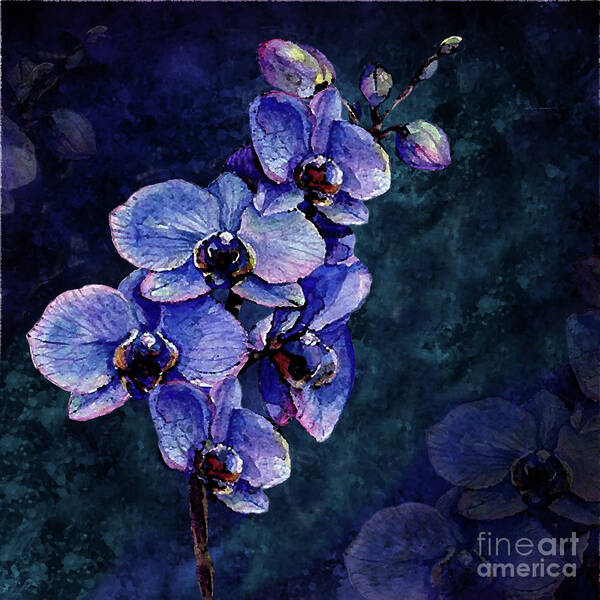 Orchids Art Print featuring the digital art Orchids of the Night by J Marielle