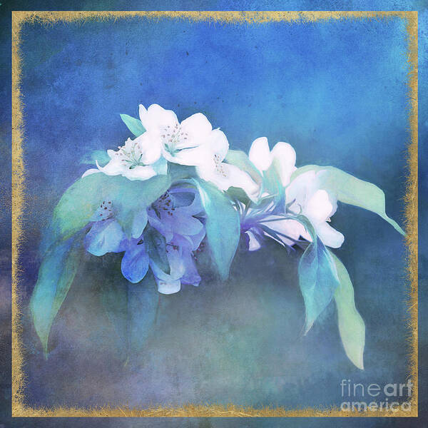 Crabapple Blossoms Art Print featuring the photograph Painted Crabapple Blossoms by Anita Pollak