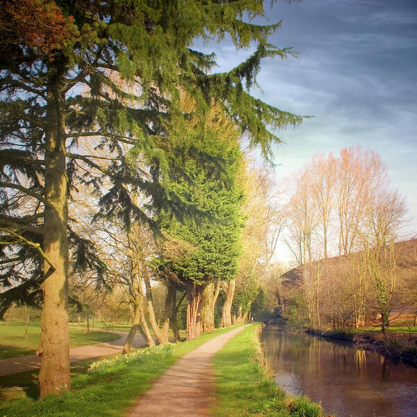 Tranquility Art Print featuring the photograph Path Besides Canal In Bute Park by Christiana Stawski