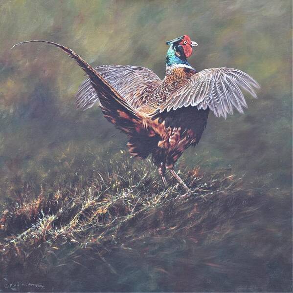 Wildlife Paintings Art Print featuring the painting Pheasant Displaying by Alan M Hunt