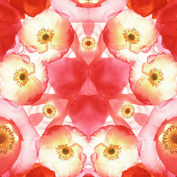 Mandala Art Print featuring the photograph Pink Valentine Mandala by Steve Satushek