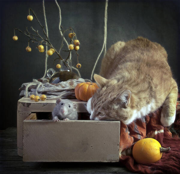 Cat Art Print featuring the photograph Rats\'n\'cats by Eleonora Grigorjeva