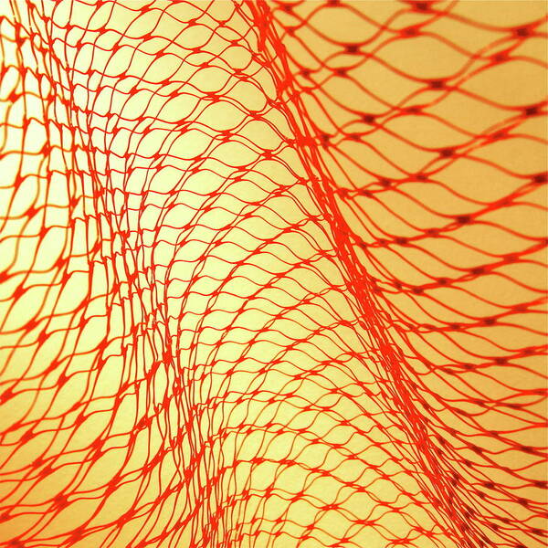 Curve Art Print featuring the photograph Red Mesh by Photo Ephemera