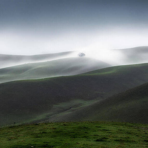 Hills Art Print featuring the photograph Rolling Hills And Fog by Aidong Ning