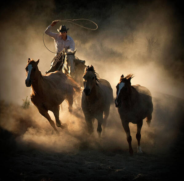 Cowboy Art Print featuring the photograph Roundup by Stephen Rostler