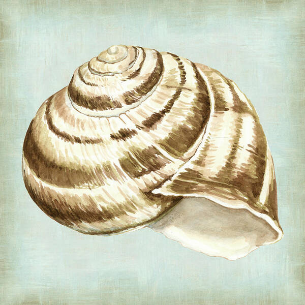Animals & Nature Art Print featuring the painting Sea Dream Shells I by Vision Studio