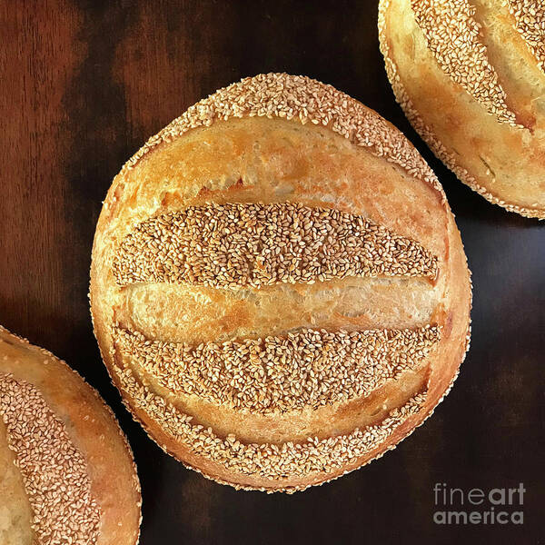 Bread Art Print featuring the photograph Sesame Seed Stripes 4 by Amy E Fraser