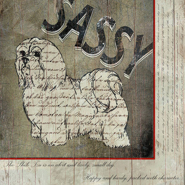 Sassy Shih Tzu
Dog Art Print featuring the mixed media Shih Tzu II by Karen Williams