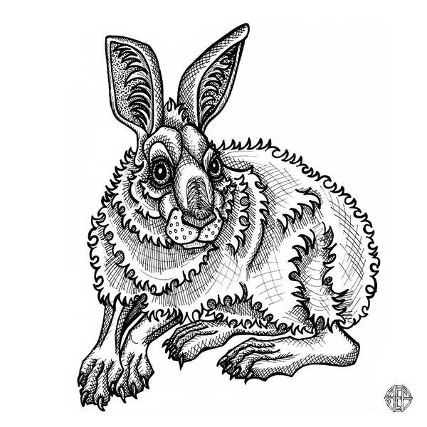 Animal Portrait Art Print featuring the drawing Snowshoe Hare by Amy E Fraser
