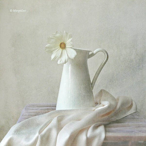 Vase Art Print featuring the photograph Still Life With White Flower by By Margoluc