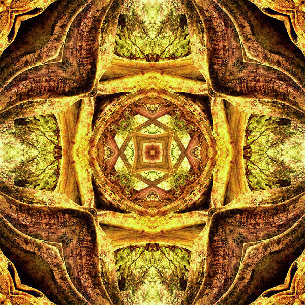 Mandala Art Print featuring the photograph Textured Tree Mandala by Steve Satushek