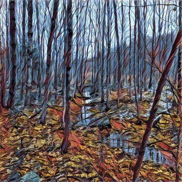 Photoshopped Photo. Art Print featuring the digital art The brook at the end of the beaver pond by Steve Glines