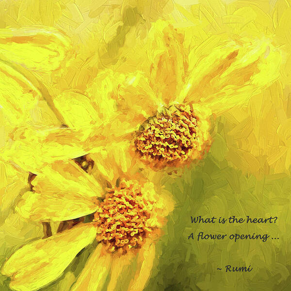 Rumi Art Print featuring the photograph The unfolding by Gaye Bentham