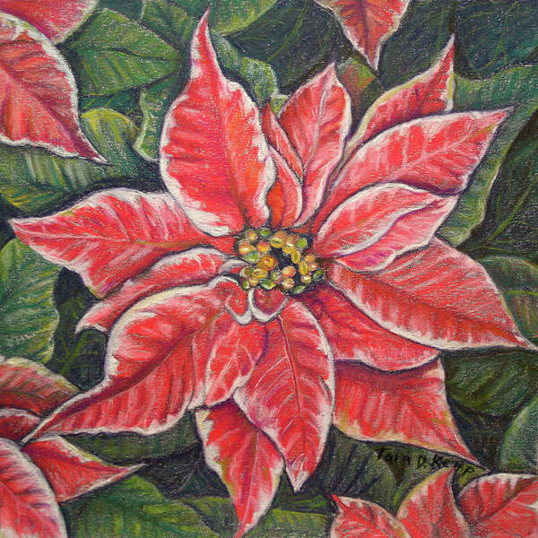 Variegated Art Print featuring the painting Variegated Poinsettia by Tara D Kemp
