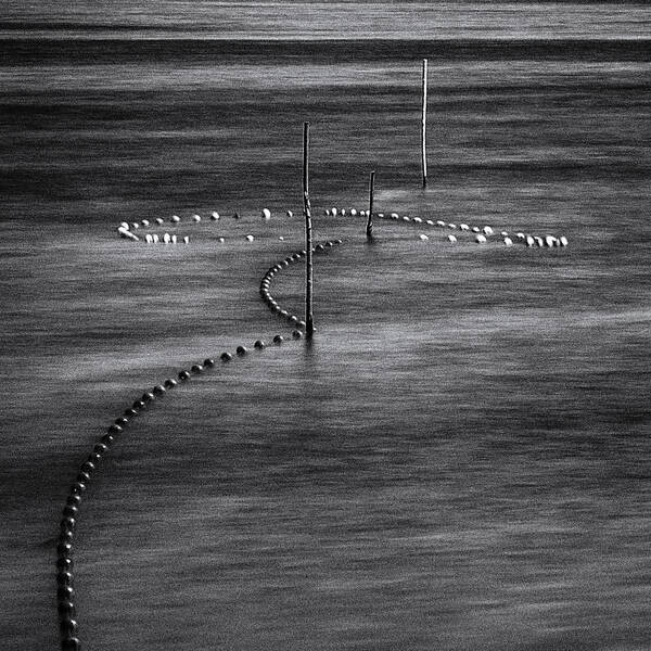 Water
Lake
Fishing Net
Fish
Minimalism Art Print featuring the photograph Water Necklace by Benjamine Hullot Scalvenzi