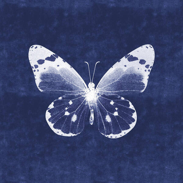 Butterfly White Blue Indigo Skeleton Butterfly Wings Modern Bohemianinsect Bug Garden Home Decorairbnb Decorliving Room Artbedroom Artcorporate Artset Designgallery Wallart By Linda Woodsart For Interior Designersgreeting Cardpillowtotehospitality Arthotel Artart Licensing Art Print featuring the mixed media White and Indigo Butterfly 1- Art by Linda Woods by Linda Woods
