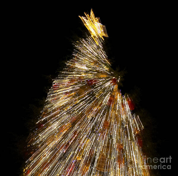 Christmas Art Print featuring the photograph Xmas Tree Motion Art by Iryna Liveoak