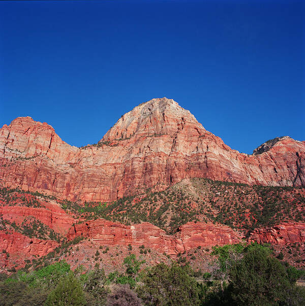Tranquility Art Print featuring the photograph Zion National Park Canyon Wall by Peter Carlson