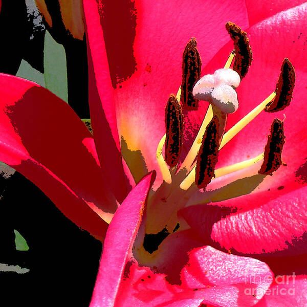 Lilies Art Print featuring the digital art Hot Pink Lily by Marsha Young