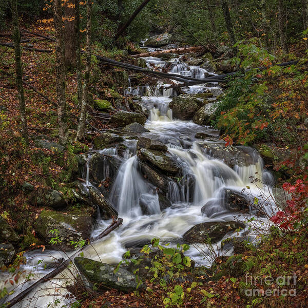 Autumn Art Print featuring the photograph Autumn Falls #1 by Doug Sturgess