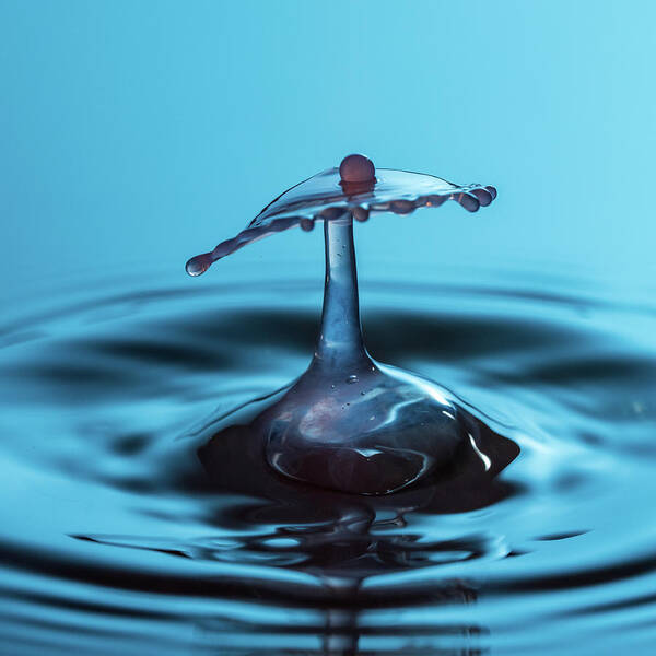Waterdrop Art Print featuring the photograph Water drop falling onto column of water #1 by Steven Heap