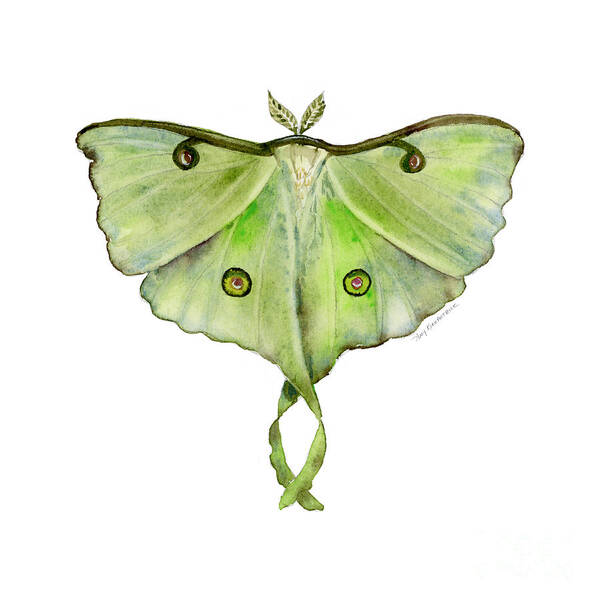 Green Butterfly Art Print featuring the painting 100 Luna Moth by Amy Kirkpatrick