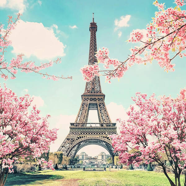 Tower Art Print featuring the photograph Paris City Sakura by Manjik Pictures