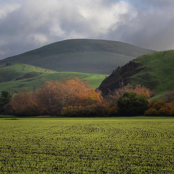  Art Print featuring the photograph San Luis Obispo #6 by Lars Mikkelsen