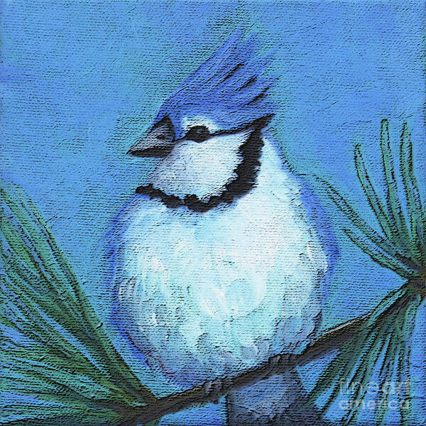 Blue Art Print featuring the painting 6 Blue Jay by Victoria Page
