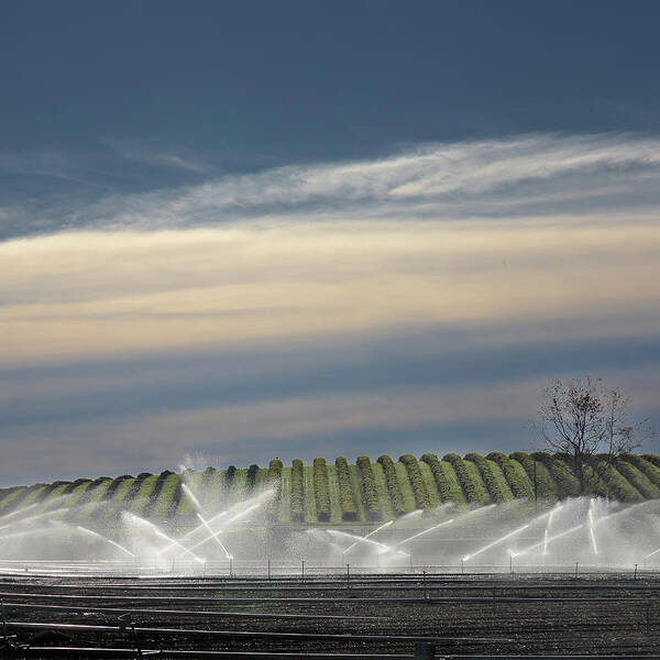  Art Print featuring the photograph San Luis Obispo #7 by Lars Mikkelsen