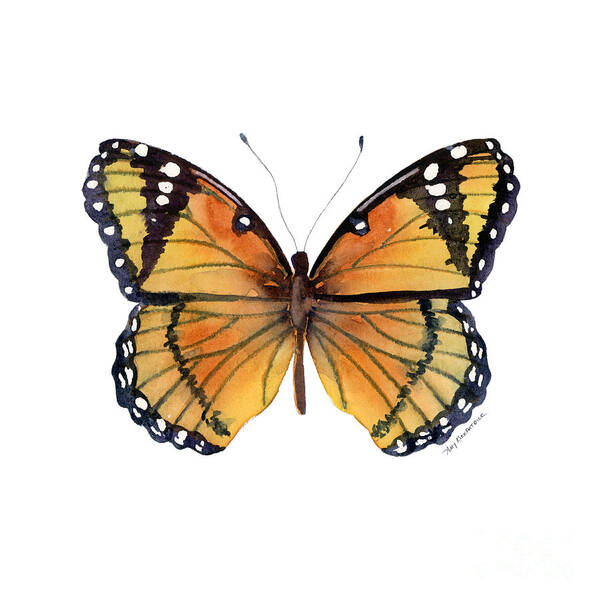 Viceroy Art Print featuring the painting 76 Viceroy Butterfly by Amy Kirkpatrick