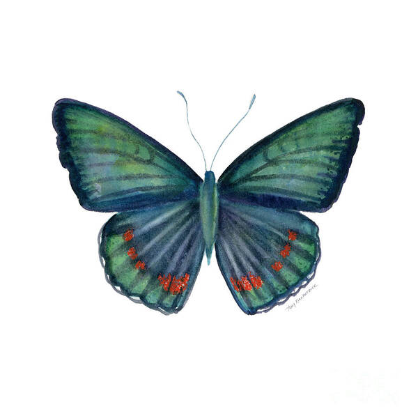 Teal Green Butterfly Art Print featuring the painting 82 Bellona Butterfly by Amy Kirkpatrick