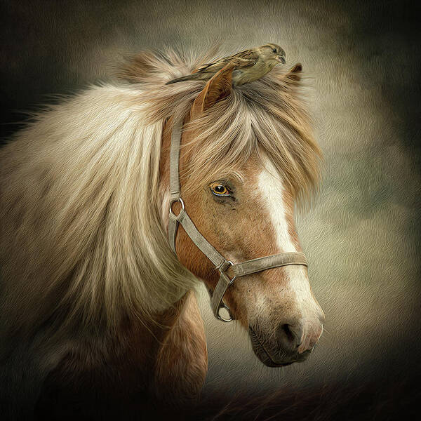 Icelandic Horse Art Print featuring the digital art A Place to Hide by Maggy Pease