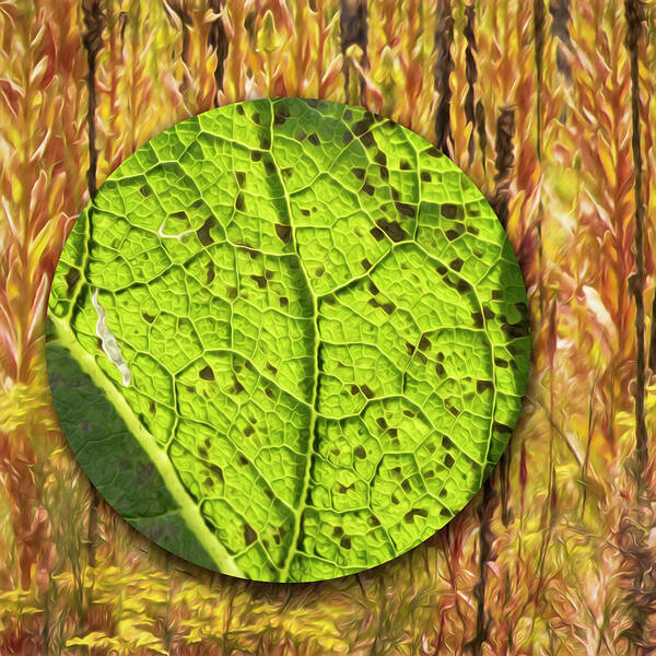Imaginary Lands Art Print featuring the digital art Adrift In The Velvet Leaf Forest by Becky Titus