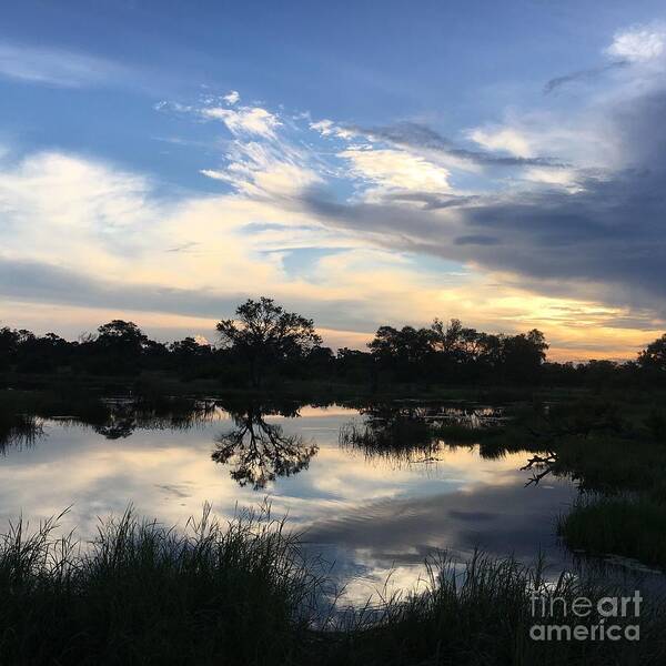 Botswana Art Print featuring the photograph African Sunset by Wendy Golden