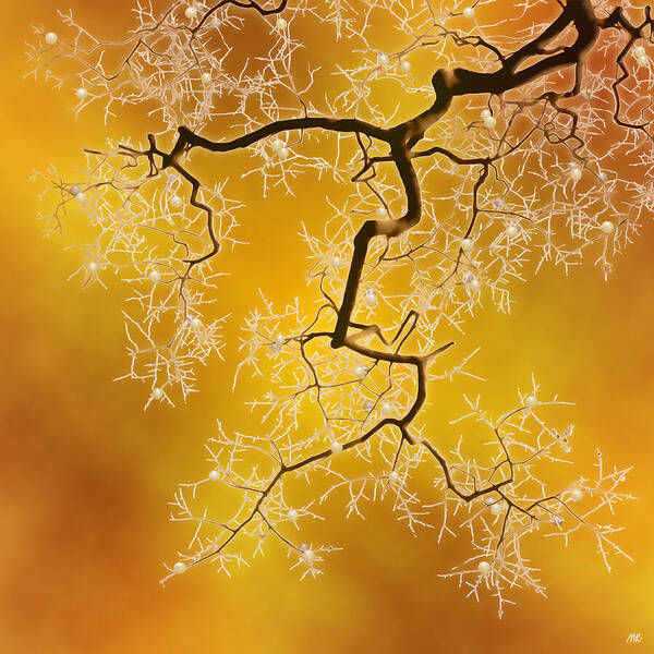 Abstract Nature Art Print featuring the digital art Amber by Moira Risen
