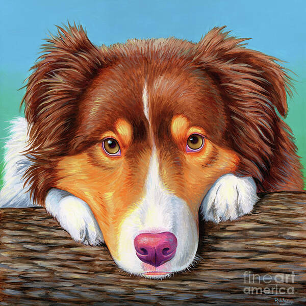 Dog Art Print featuring the painting Ammo the Red Tricolor Australian Shepherd by Rebecca Wang