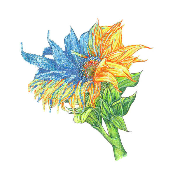 Ukraine Art Print featuring the mixed media Anna's Sunflower by Brenna Woods