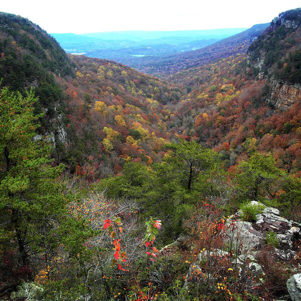 Canyon Art Print featuring the photograph Autumn Mountain View by George Taylor