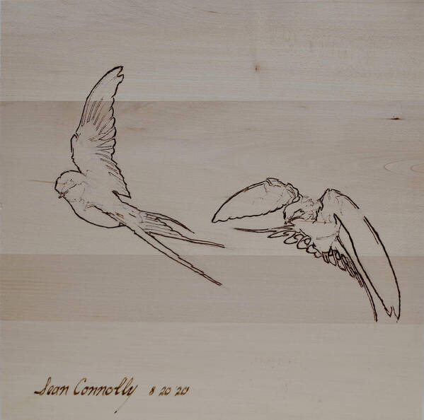 Pyrography Art Print featuring the pyrography Barn Swallows - Mid-Air by Sean Connolly