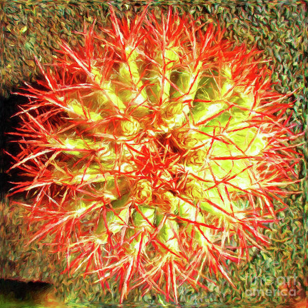 Cactus Art Print featuring the photograph Barrel Cactus by Jerome Stumphauzer