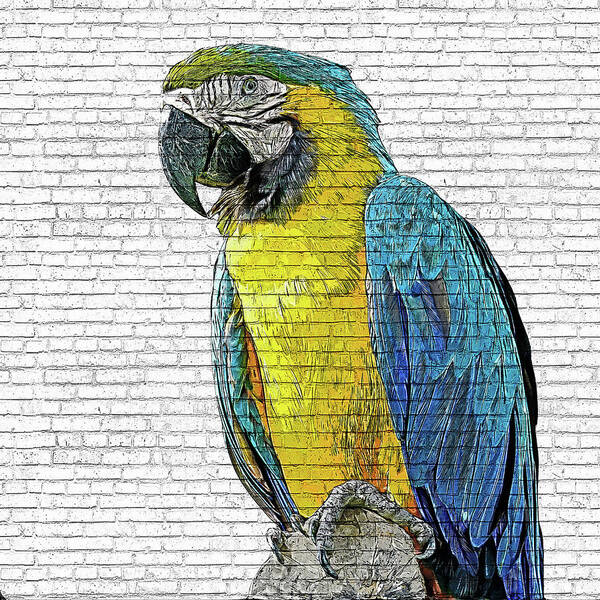 Blue Art Print featuring the painting Beautiful Blue and Yellow Macaw - Brick Block Background by Custom Pet Portrait Art Studio