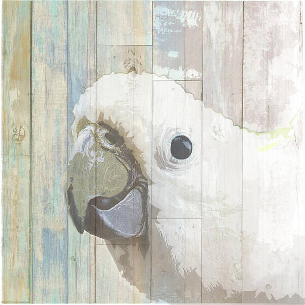 Parrot Art Print featuring the painting Bird Heads I by Karen Smith